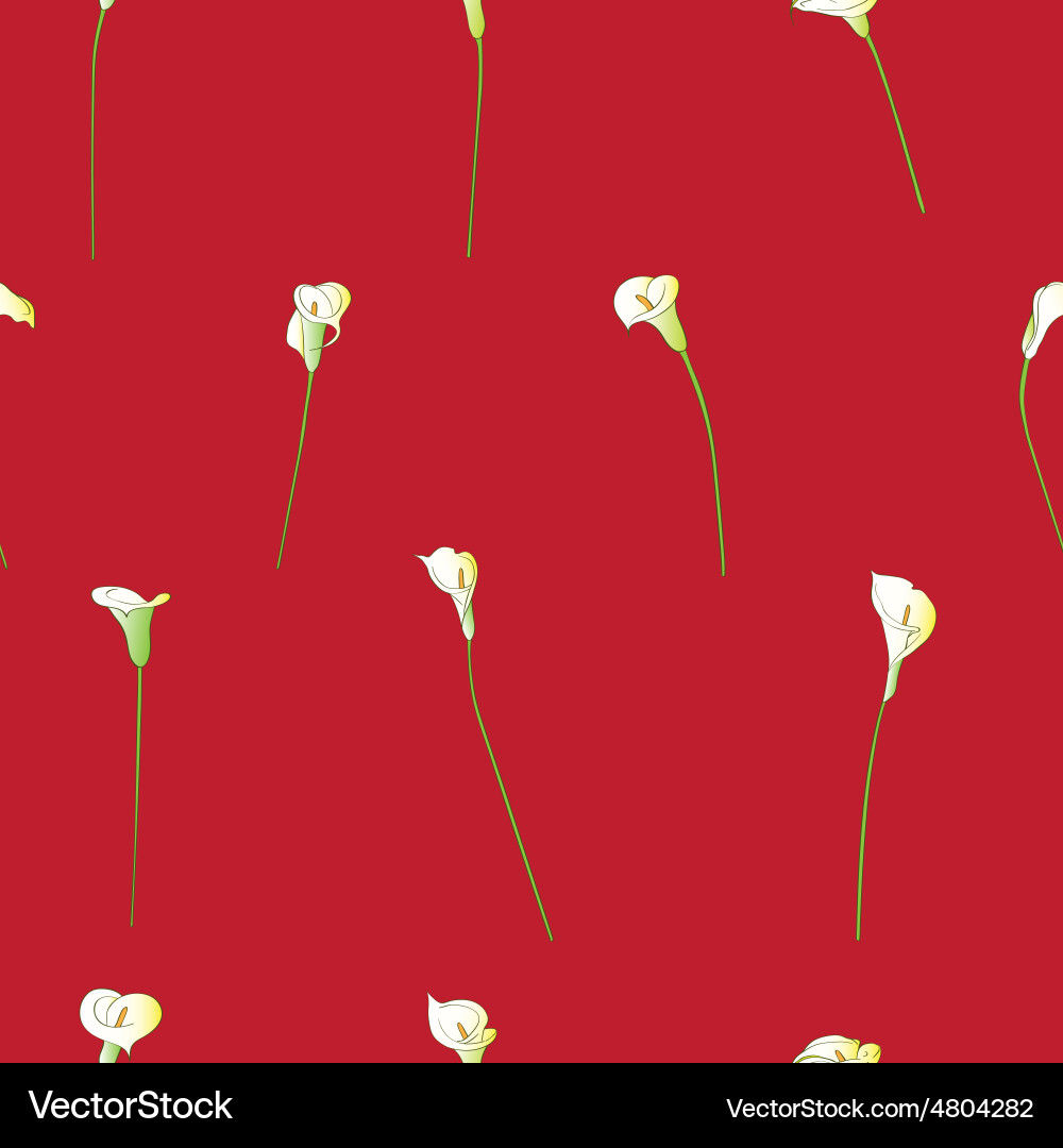 Elegant Calla Lily Pattern vector image