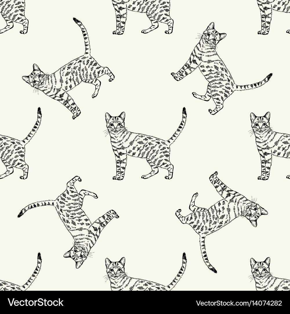 Pattern from an image of a cat black on light vector image