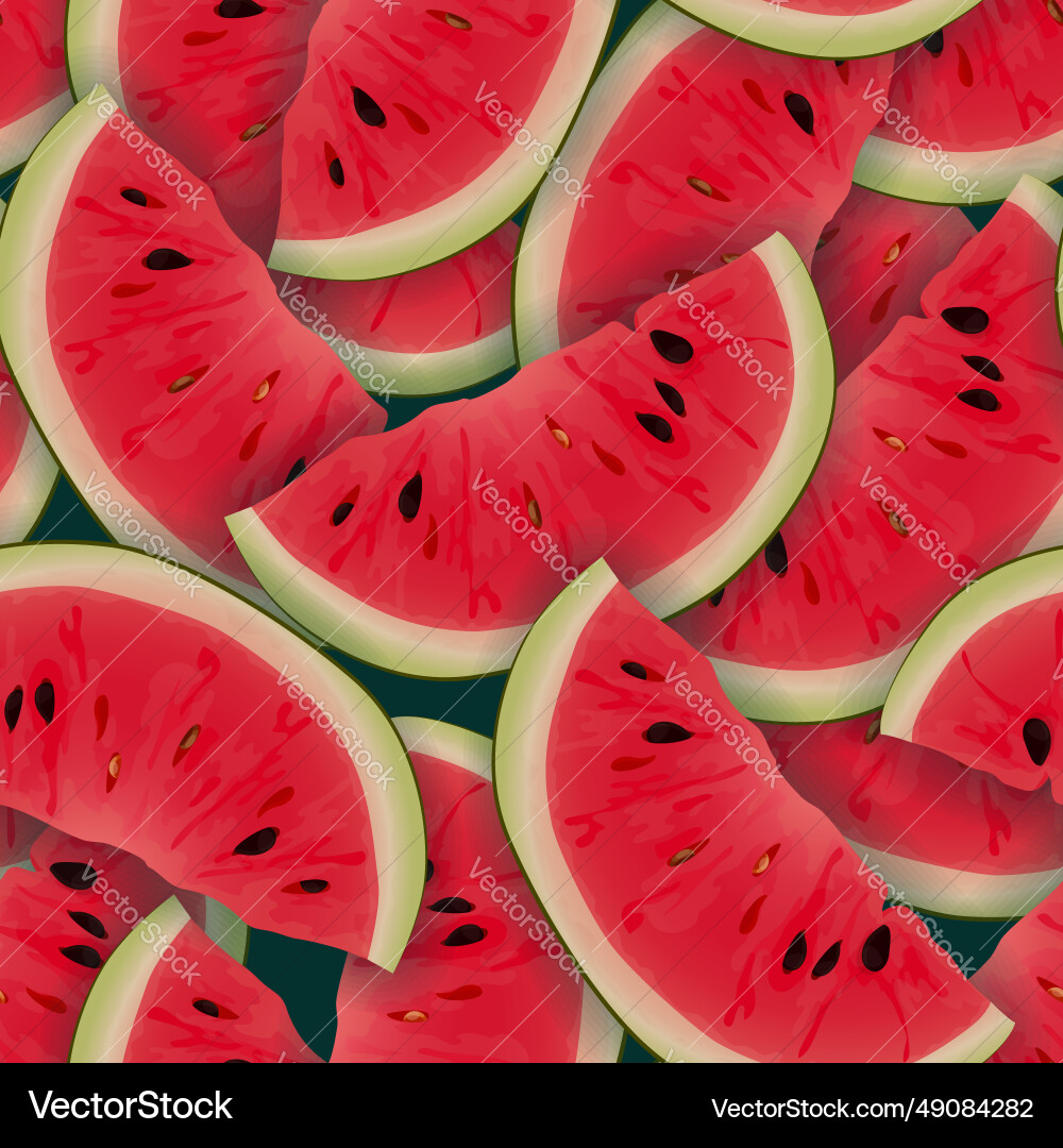 Red Watermelon Slice Pattern vector image