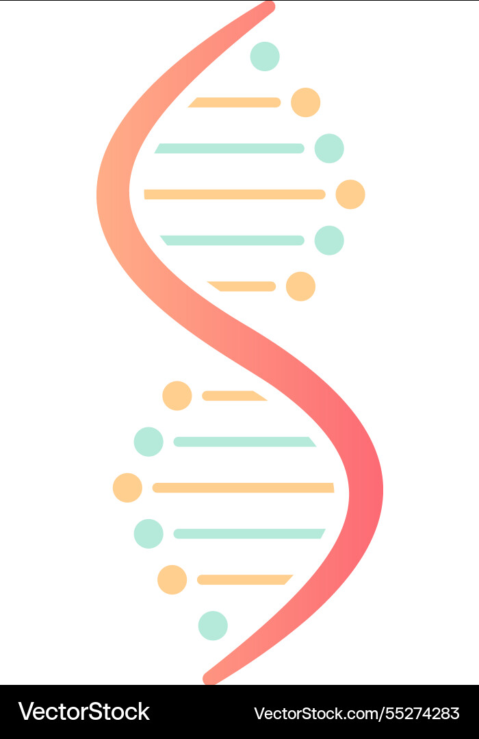 Dna double helix is rotating forming a dynamic Dna double helix is rotating forming a dynamic vector image
