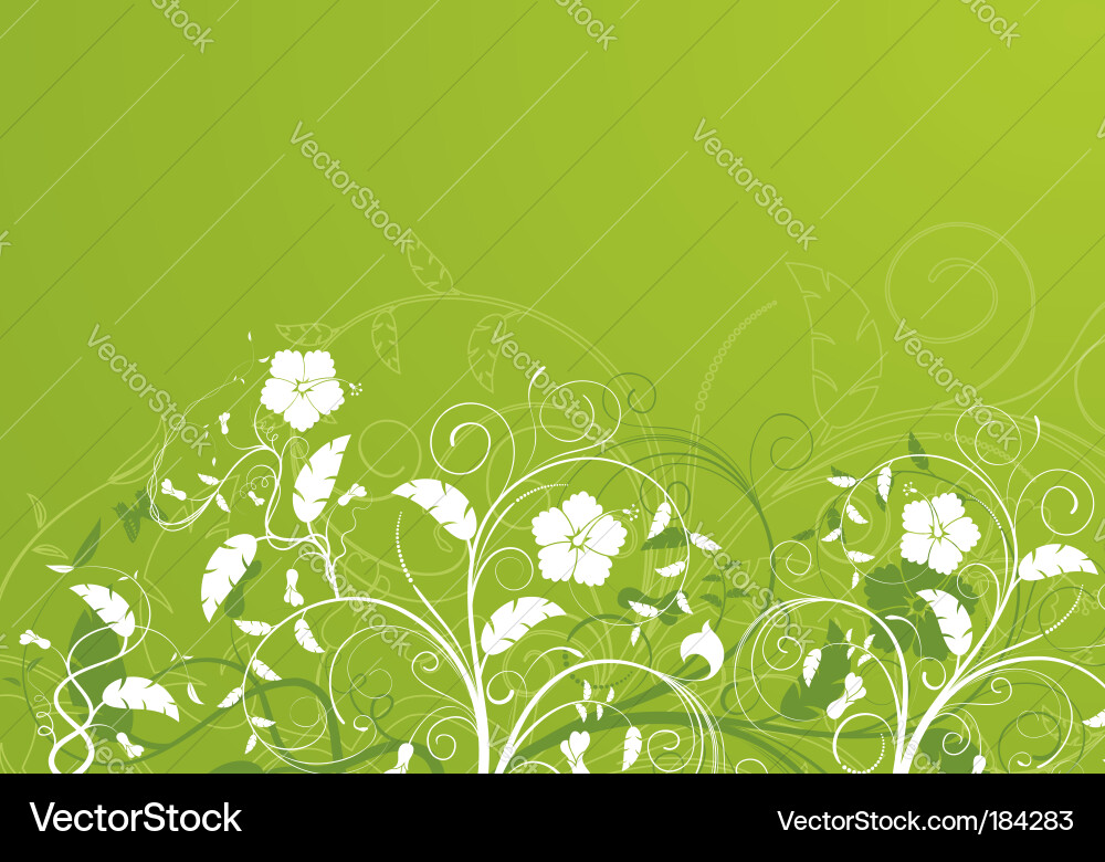 Flower background Vector Image
