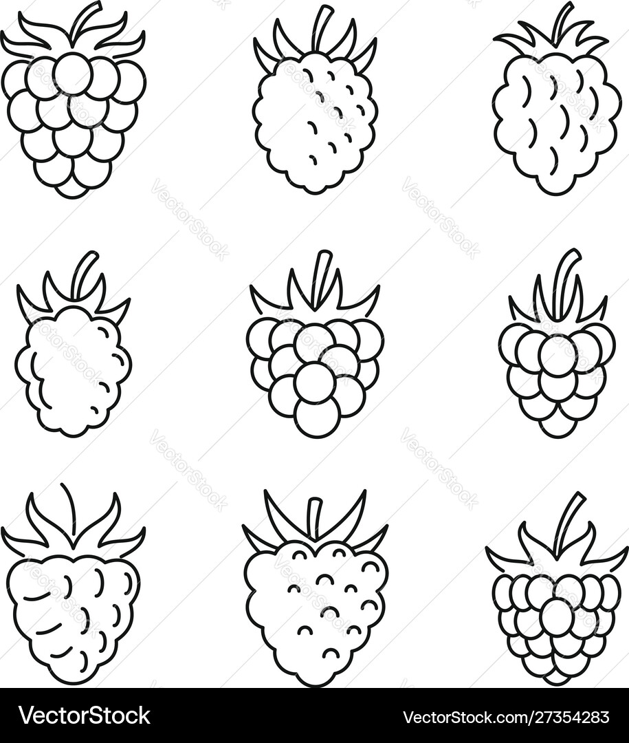 Fresh raspberry icons set outline style Vector Image