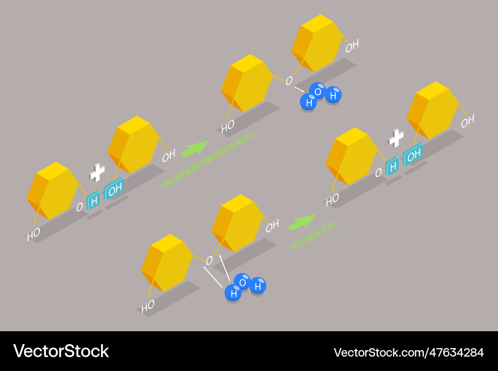 3d isometric flat conceptual vector image