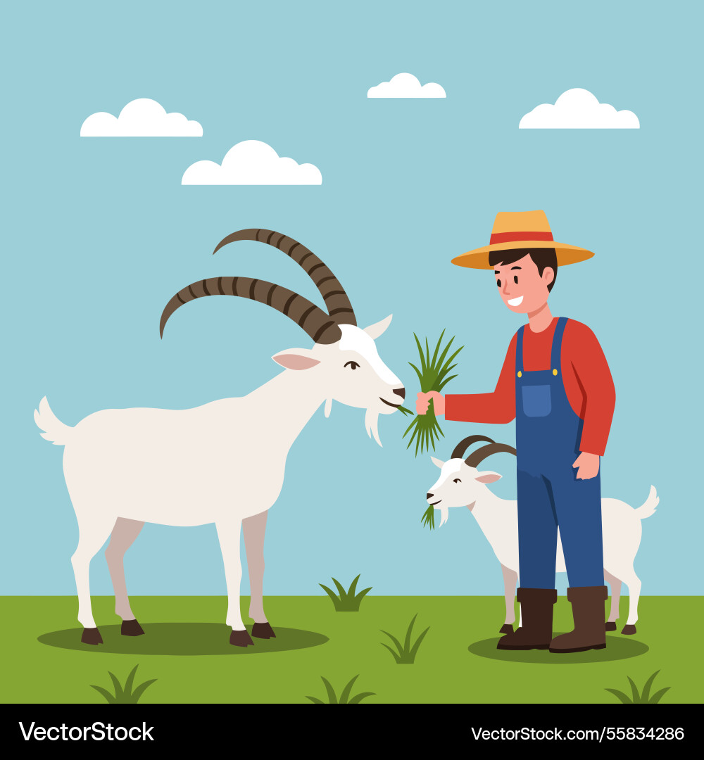Farmer feeding grass to goats on a sunny day Vector Image