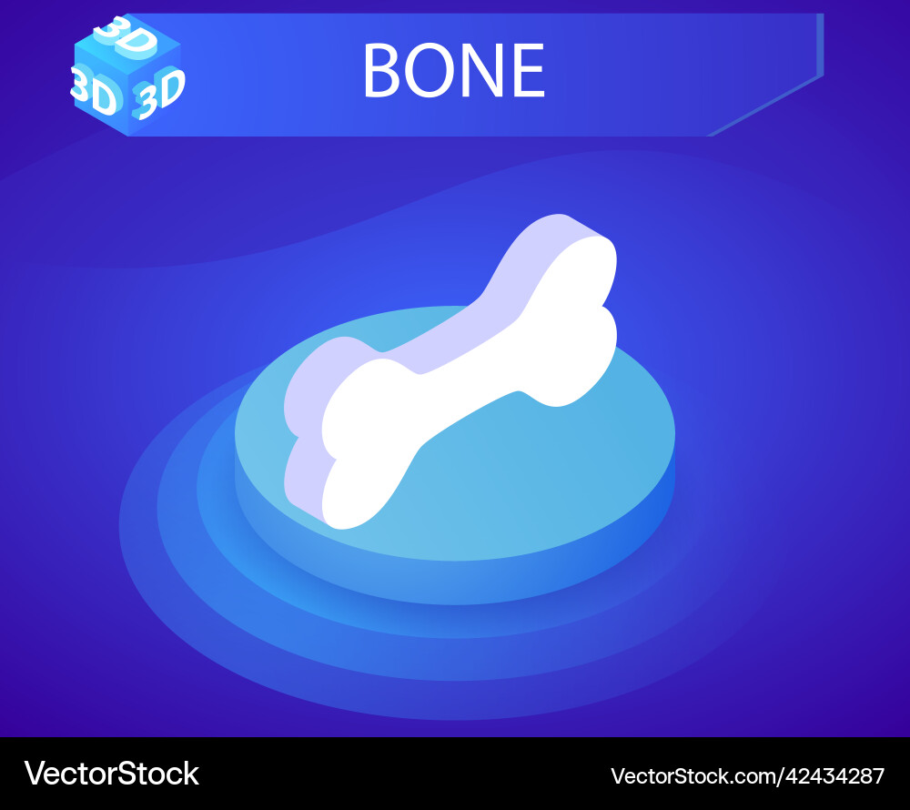 Bone isometric design icon web 3d colorful Bone isometric design icon web 3d colorful vector image