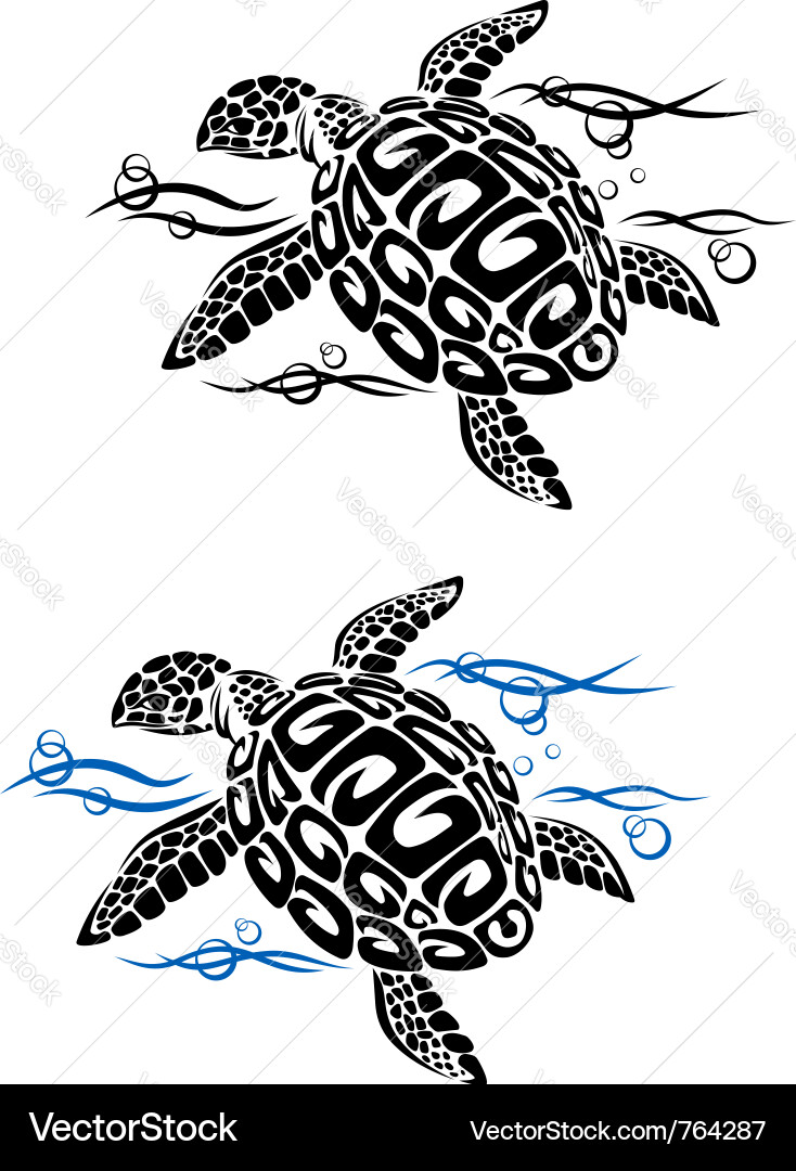 Cartoon Sea Turtle vector image