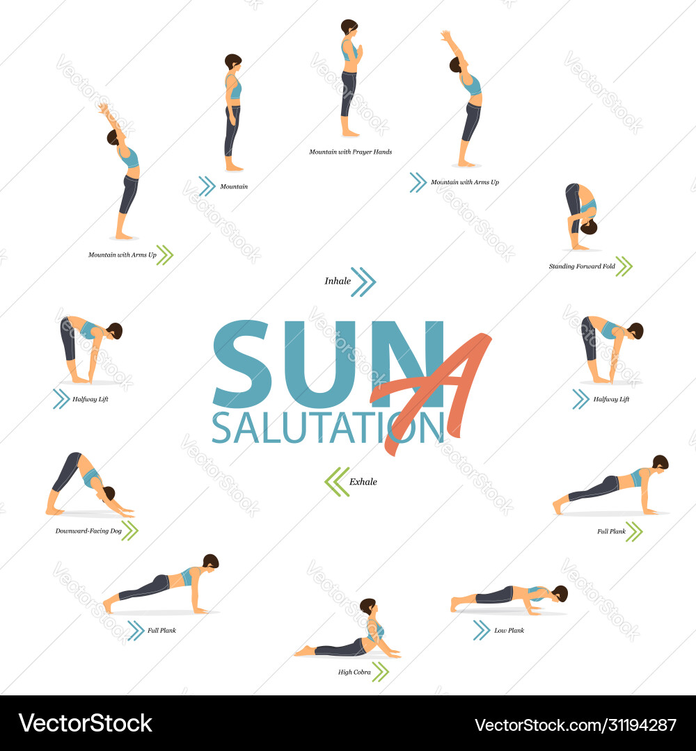 Yoga Sun Salutation A - 6 Poses vector image