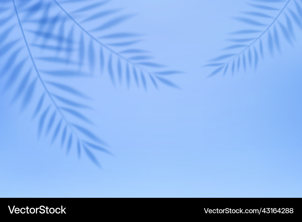 Empty studio abstract background Empty studio abstract background vector image