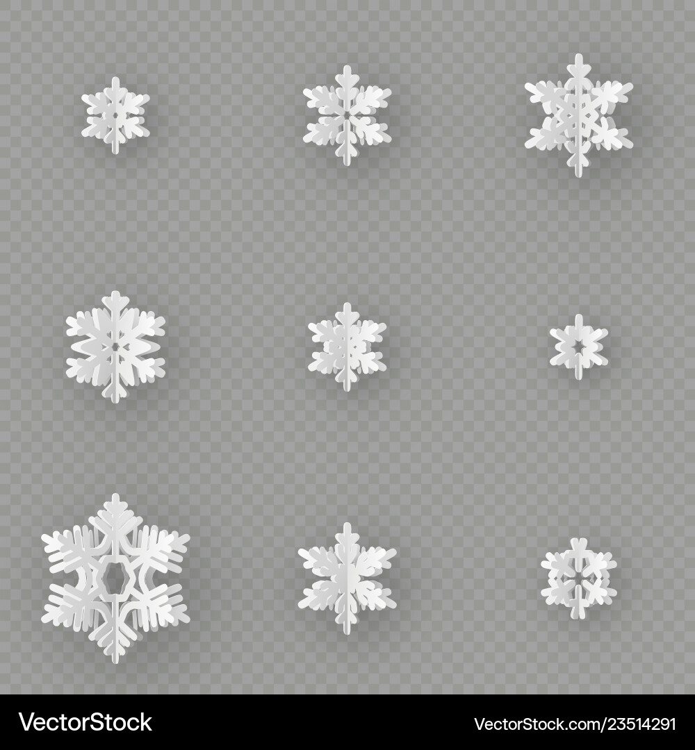 Set of nine different paper snowflake cut from Set of nine different paper snowflake cut from vector image