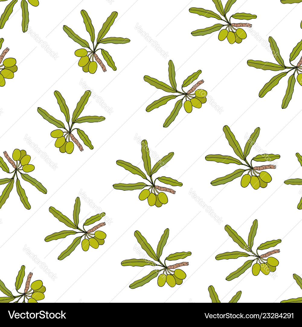 Shea tree branches seamless pattern Shea tree branches seamless pattern vector image