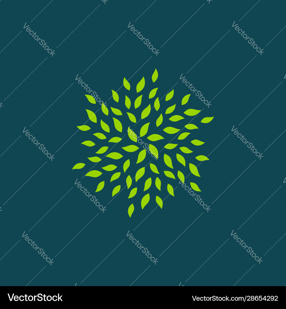 Abstract Green Leaf Logo Template Royalty Free Vector Image
