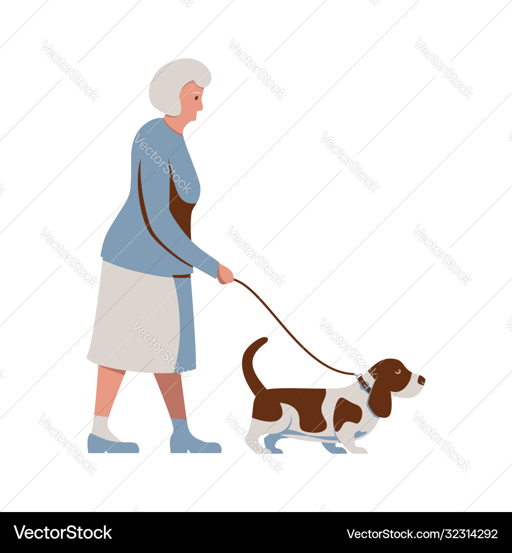 Alte Frau zu Fuß ein Hund Senior Dame mit Basset Alte Frau zu Fuß ein Hund Senior Dame mit Basset vektorbild