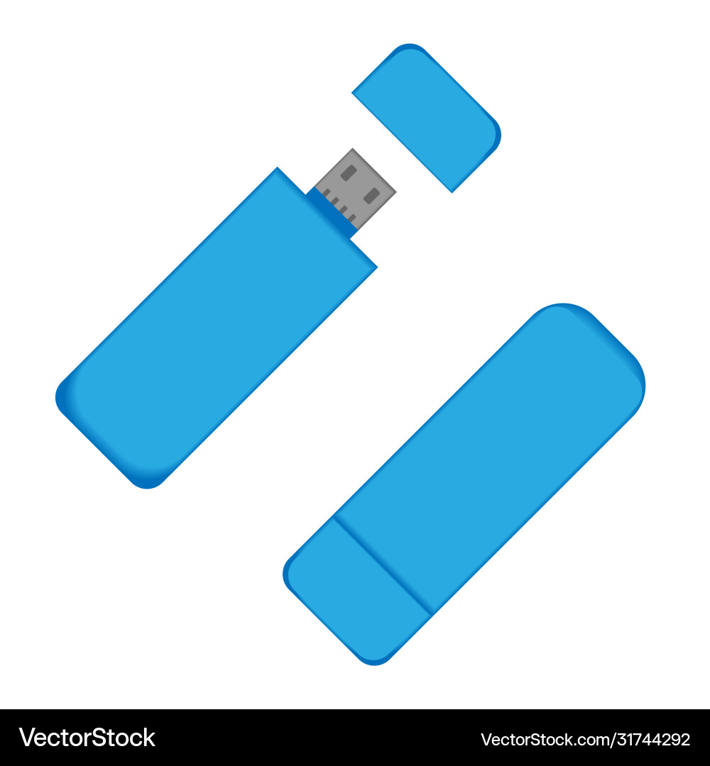 Flash drive usb memory for computer flat Flash drive usb memory for computer flat vector image