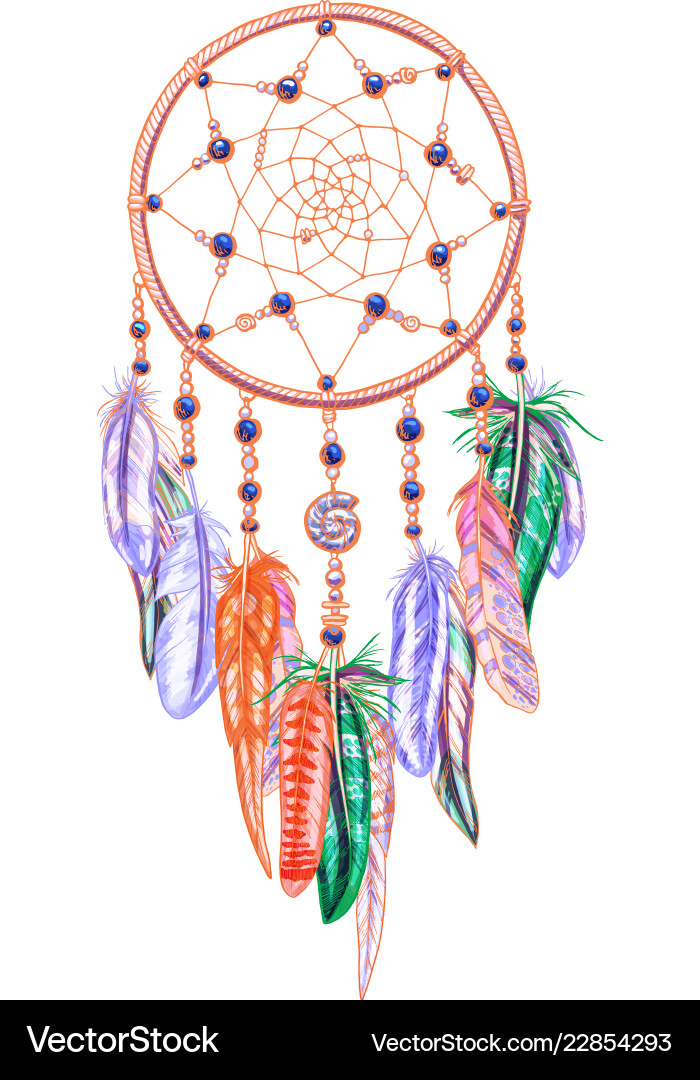 Colorful dreamcatcher and feathers isolated Colorful dreamcatcher and feathers isolated vector image