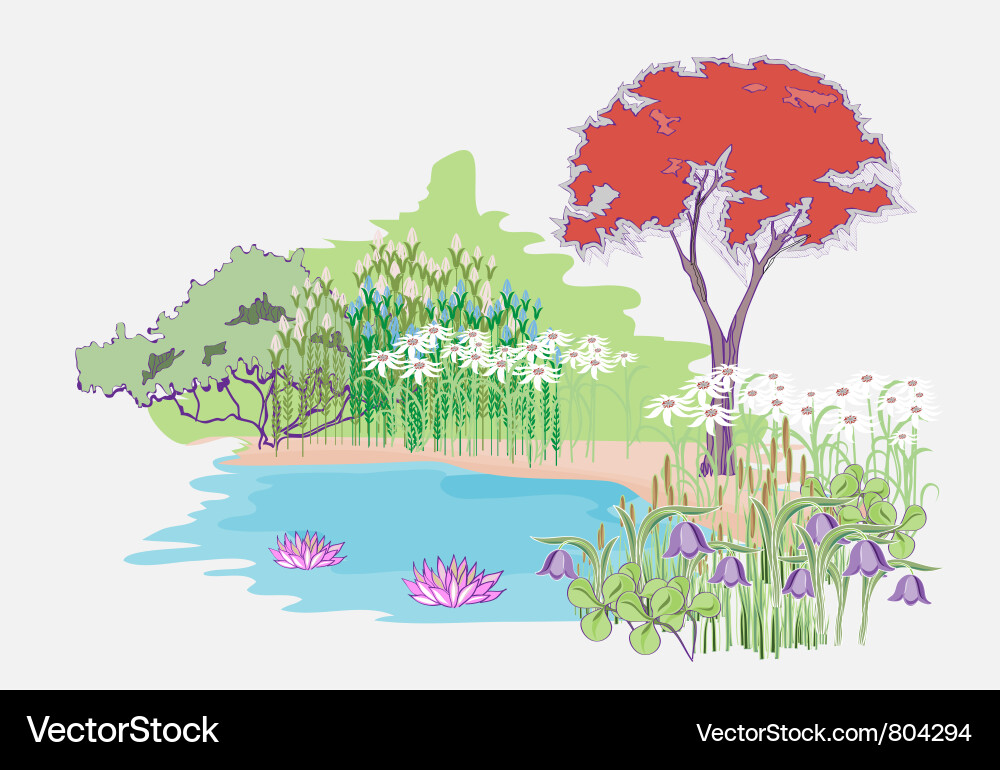 Garden with maple Vector Image