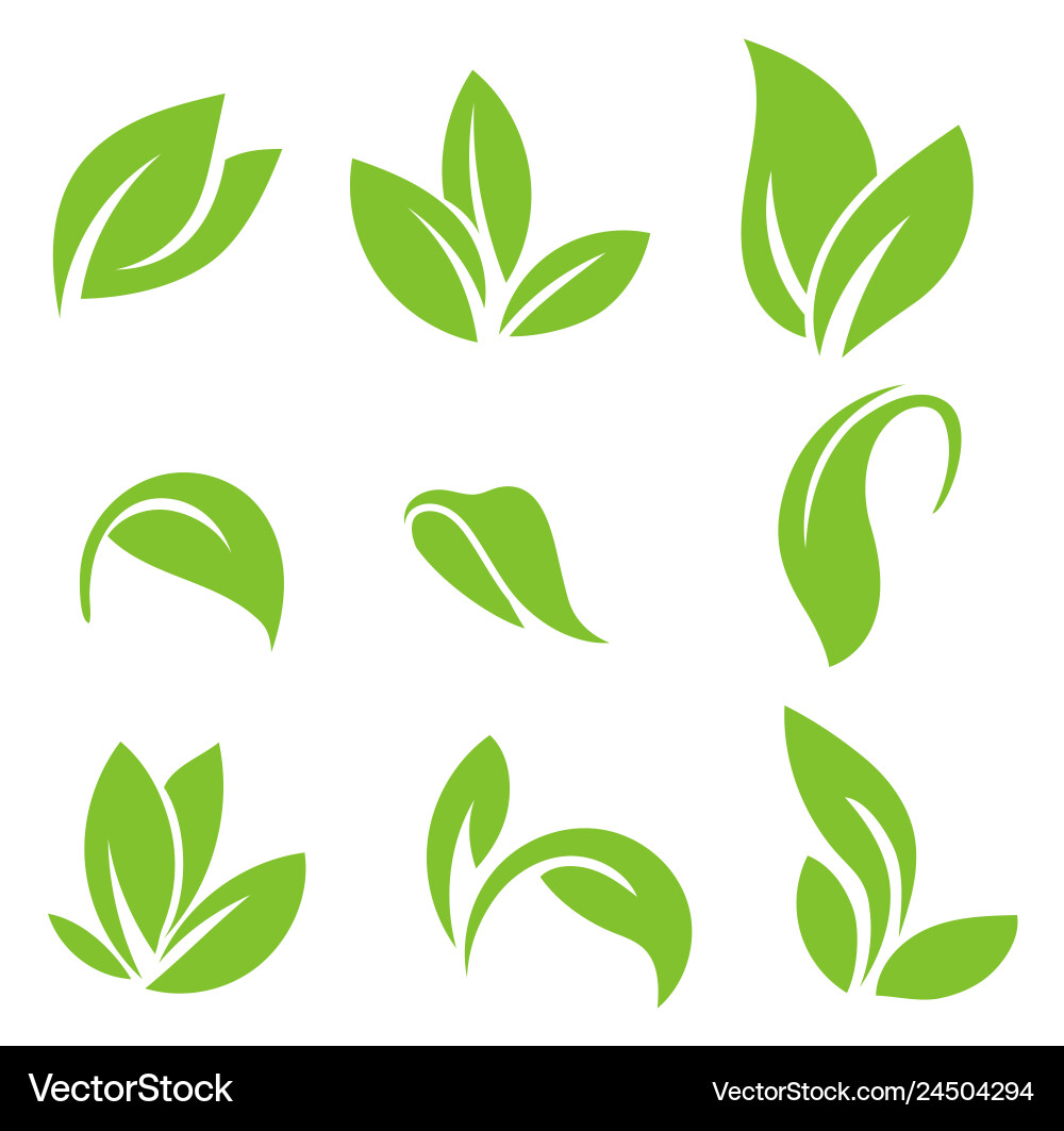 Leaves icon set isolated on white Leaves icon set isolated on white vector image