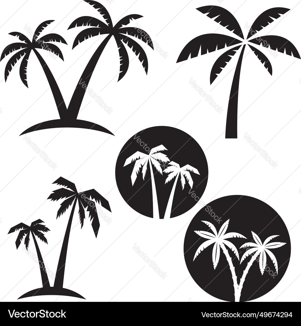 Set of palm tree labels and design elements vector image