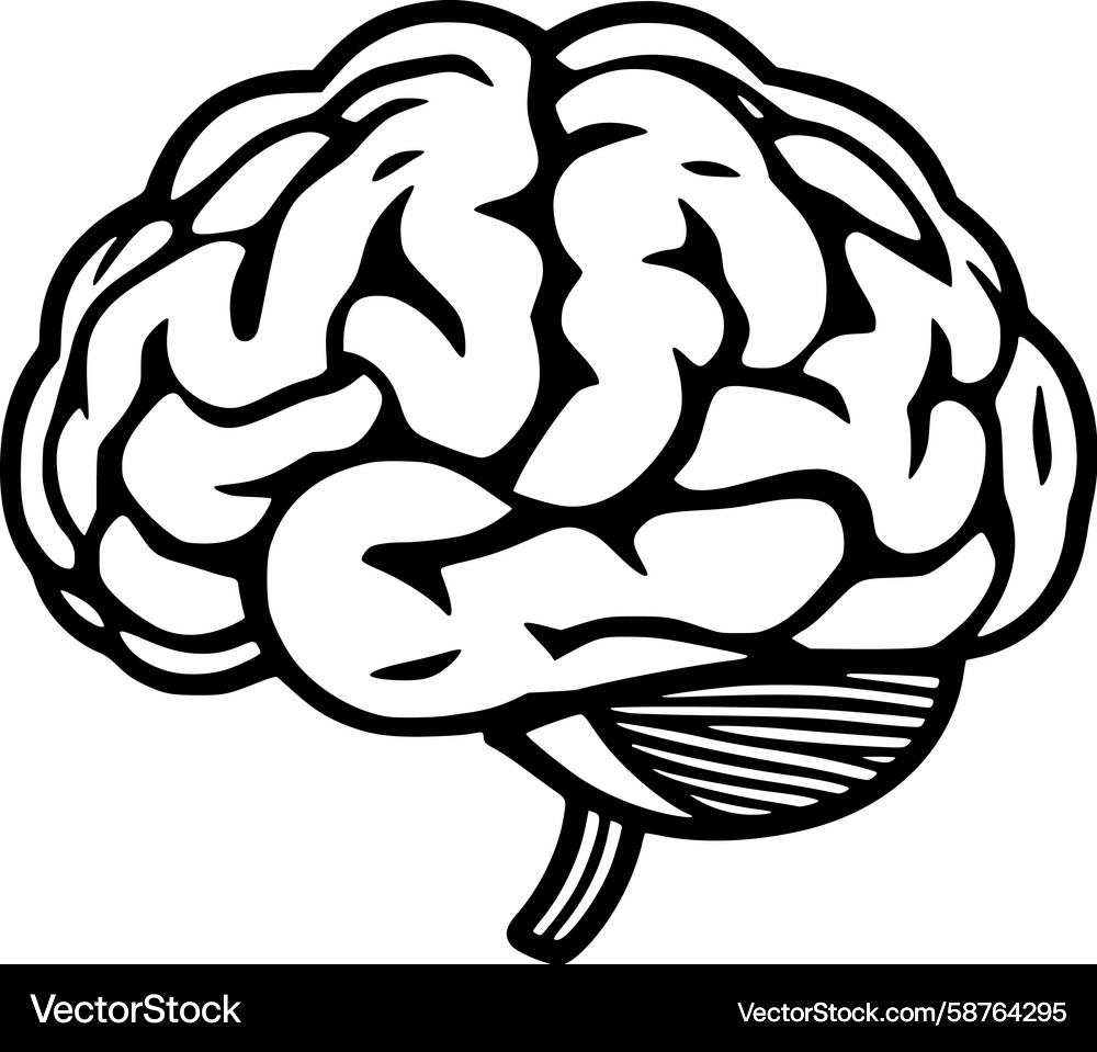 Brain Line Art - Neural Network Vector Image