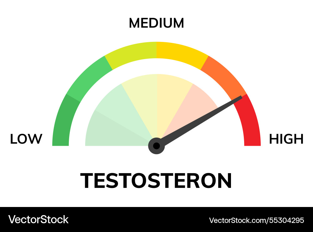 Testosterone level indicator with low medium Testosterone level indicator with low medium vector image