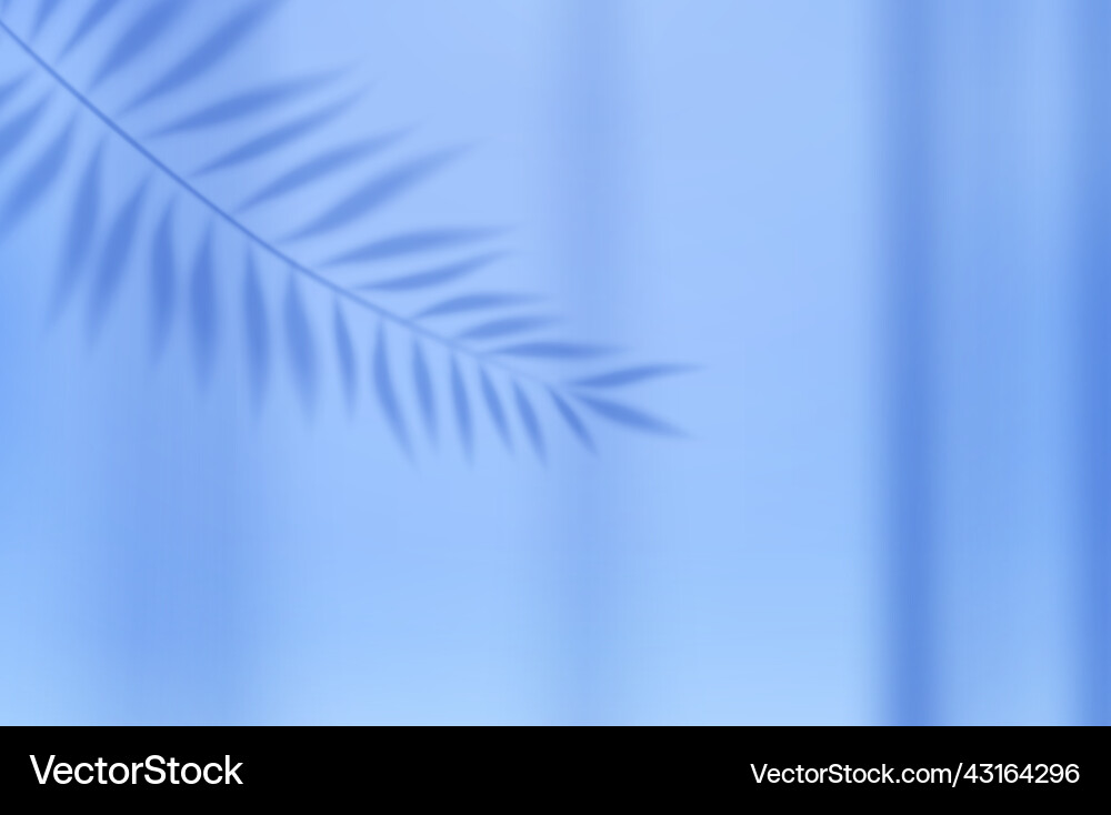Empty studio abstract background Empty studio abstract background vector image