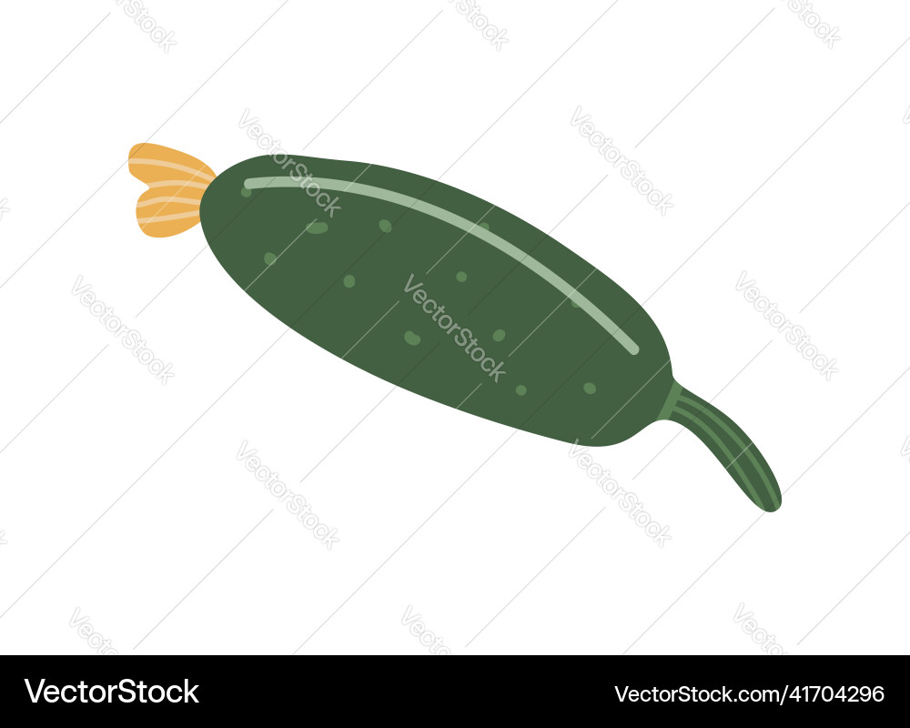 Isolated element cucumber vegetables Isolated element cucumber vegetables Vector Image