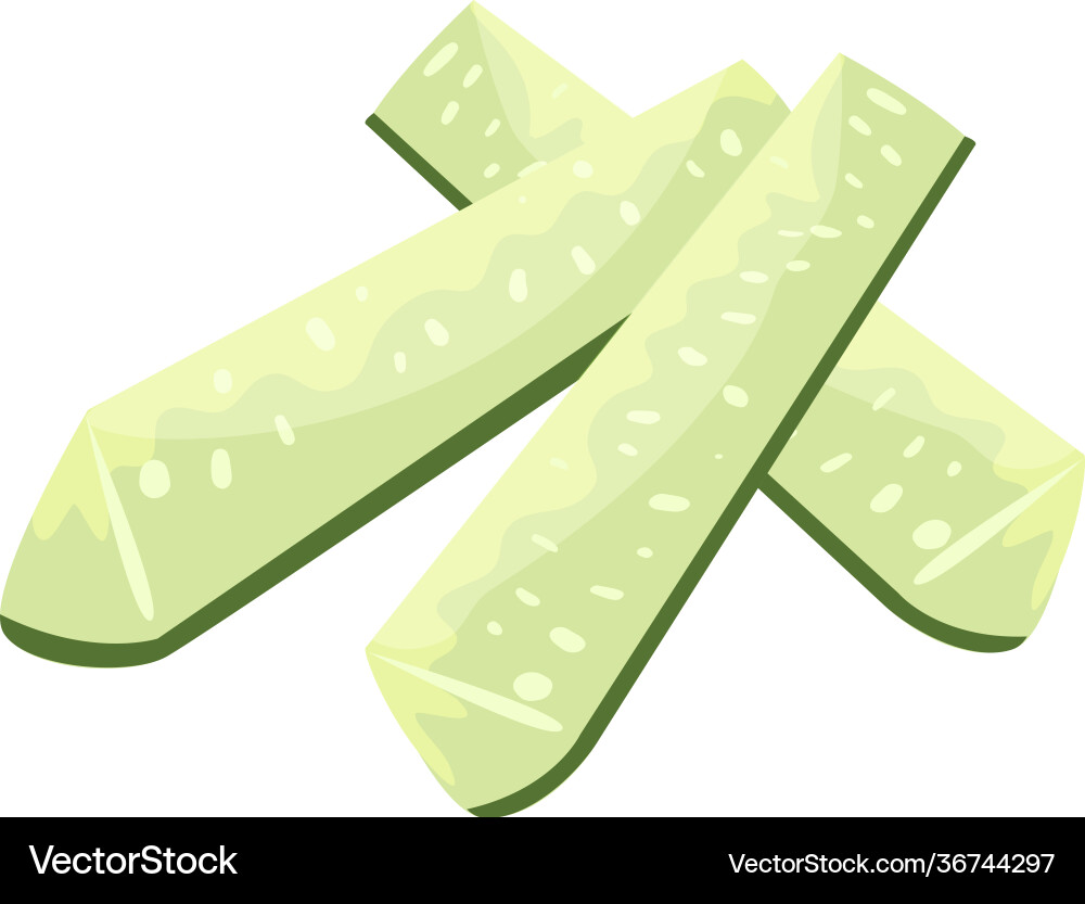 Cucumber through cuts composition Vector Image