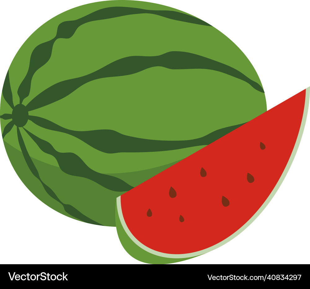 Farmers market watermelon composition vector image