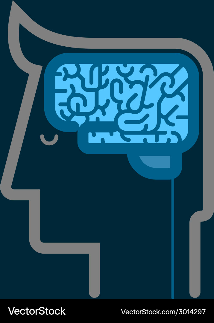 Human brain Royalty Free Vector Image - VectorStock