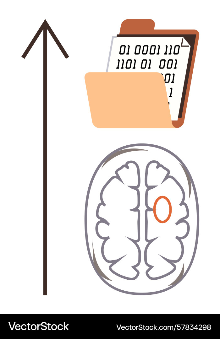 Data insights and brain activity highlighting Data insights and brain activity highlighting vector image