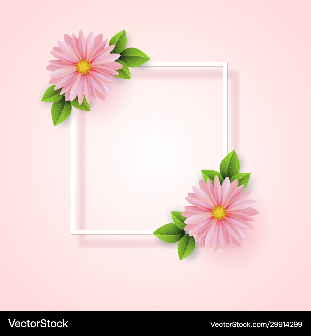 Frame spring flowers with leaves sale Frame spring flowers with leaves sale vector image
