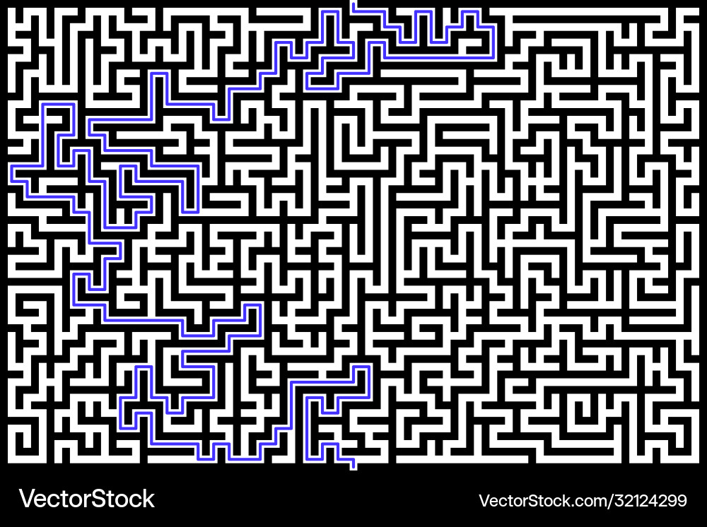 Rectangle maze with solution vector image
