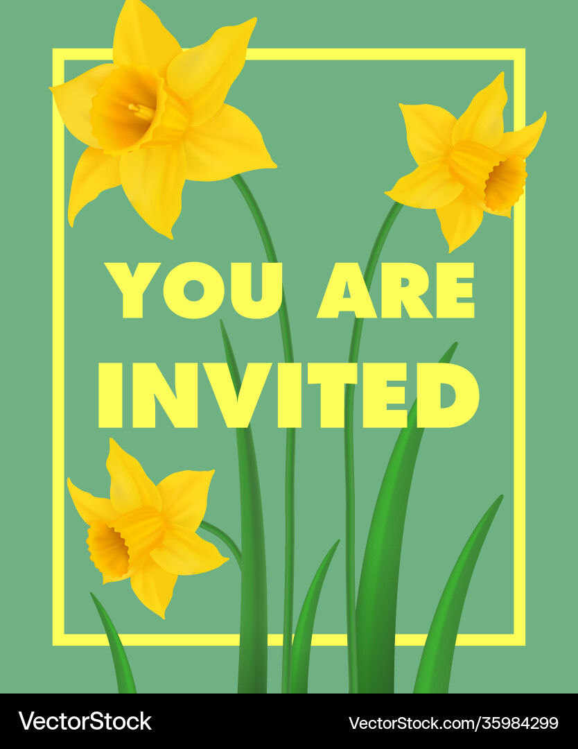 Sie sind eingeladen mit gelben Narzissus Sie sind eingeladen mit gelben Narzissus vektorbild