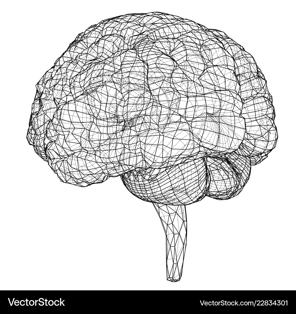 3d outline brain rendering of vector image