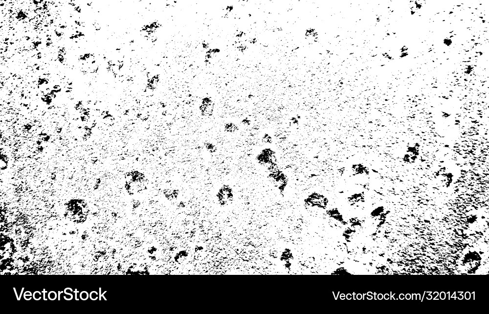 Grunge Texture Black White Vector Image