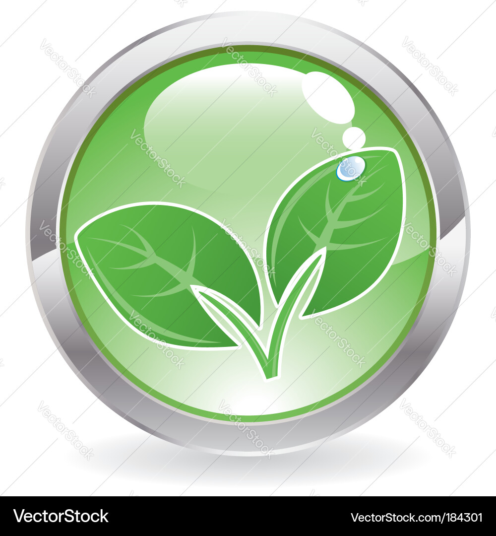 Leaf Drop Button vector image