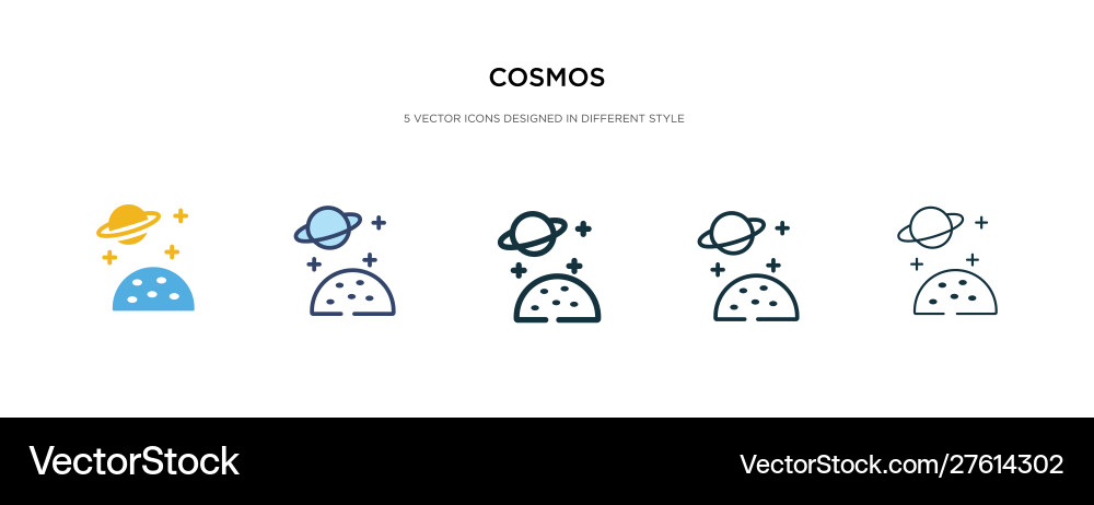Cosmos icon in different style two colored Cosmos icon in different style two colored vector image