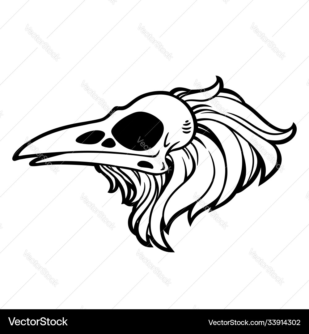 Dead bird skull with feathers Vector Image