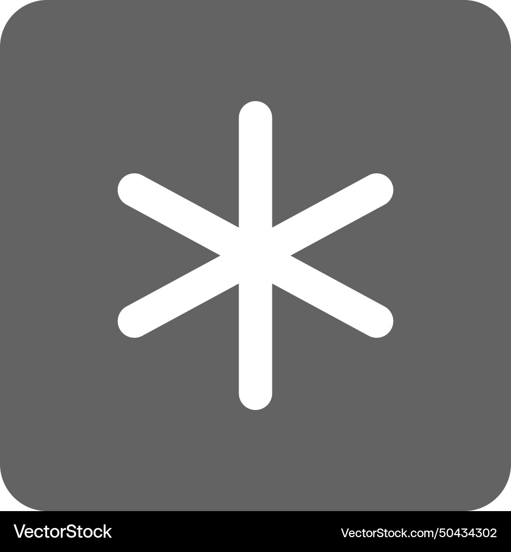 Keycap asterisk icon image Vector Image