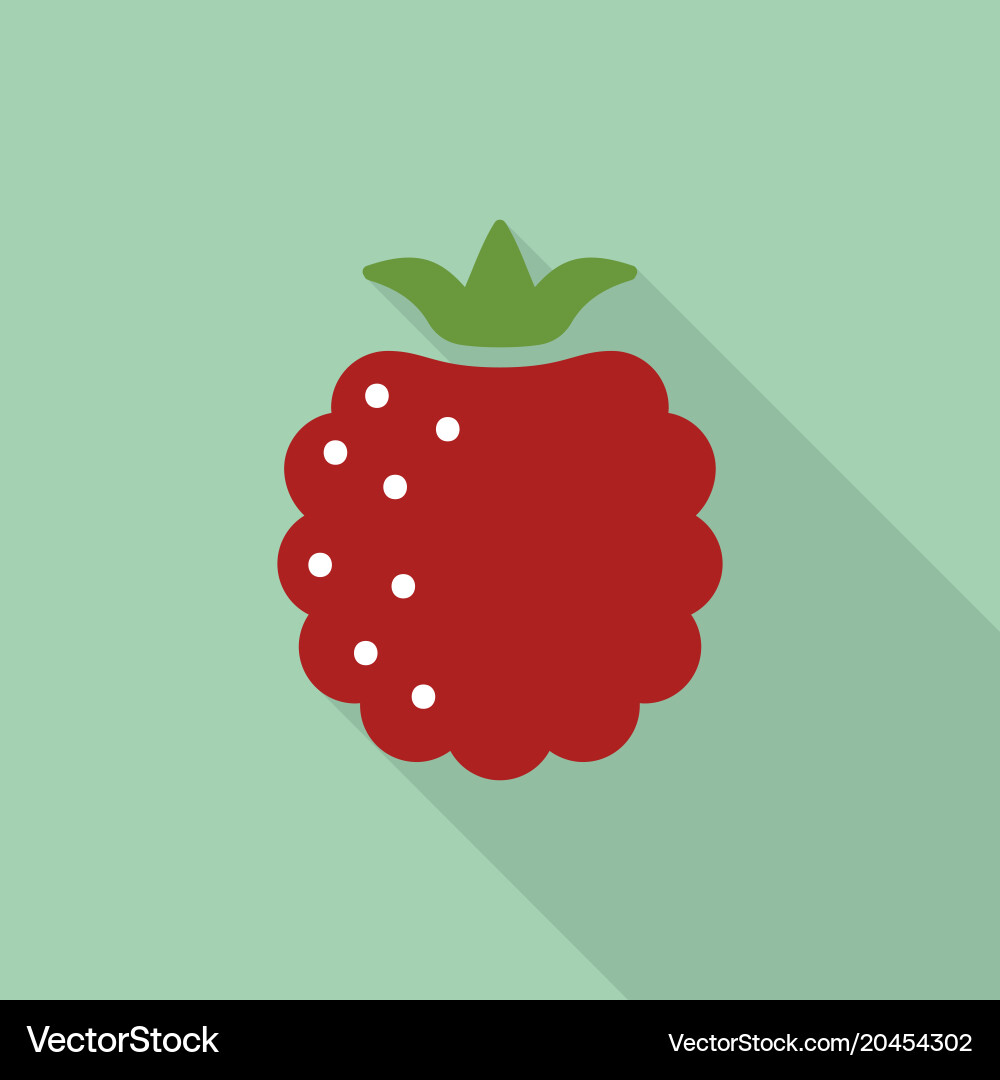 Raspberry flat icon with shadow vector image