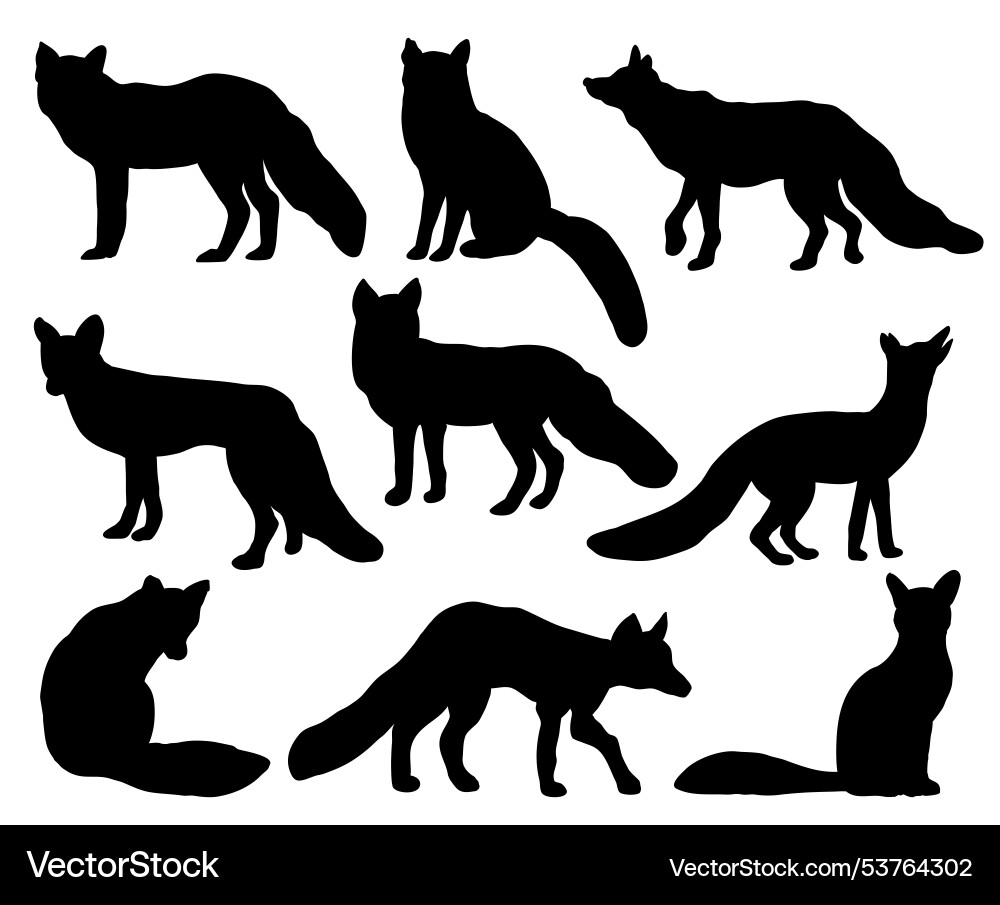 Schwarz Fuchs Silhouette Set isoliert auf weiß Schwarz Fuchs Silhouette Set isoliert auf weiß vektorbild