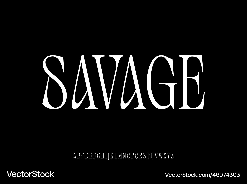 Unique and attractive serif display font vector image