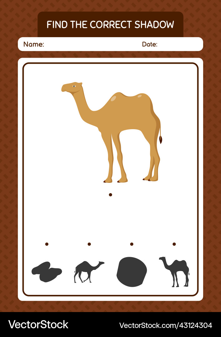 Find the correct shadows game with camel vector image