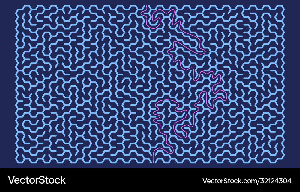 Hexagonal maze in form rectangle with solution vector image