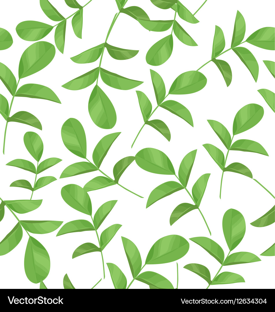 Leaf Pattern Background vector image