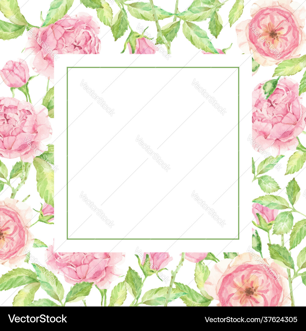 Aquarell schöne englische Rose Blumenstrauß Aquarell schöne englische Rose Blumenstrauß vektorbild