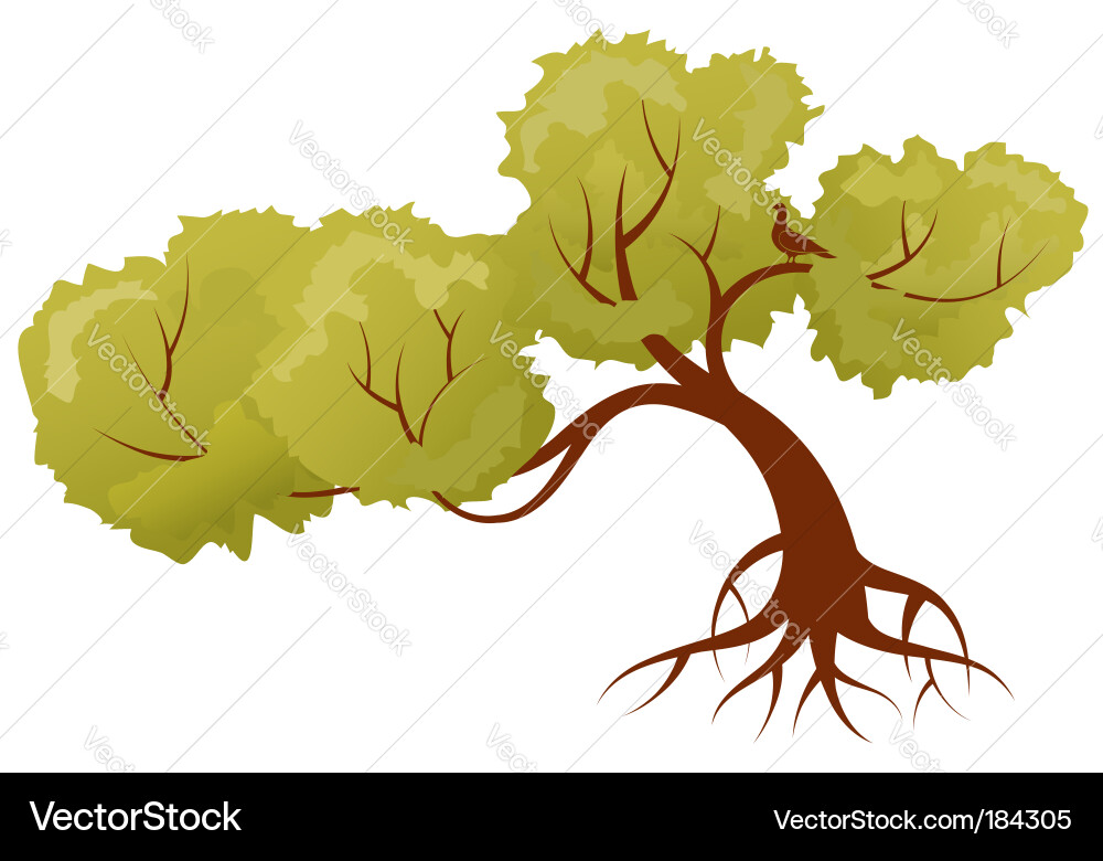 Elegant Bonsai Tree with Bird Vector Image