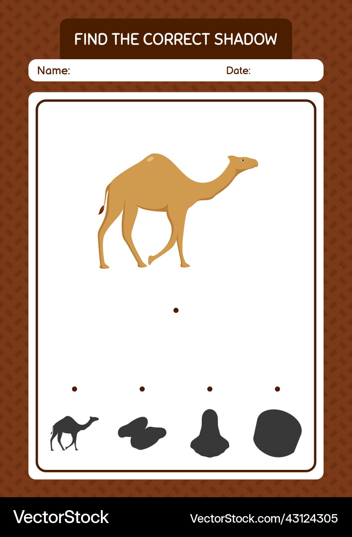Find the correct shadows game with camel Find the correct shadows game with camel vector image