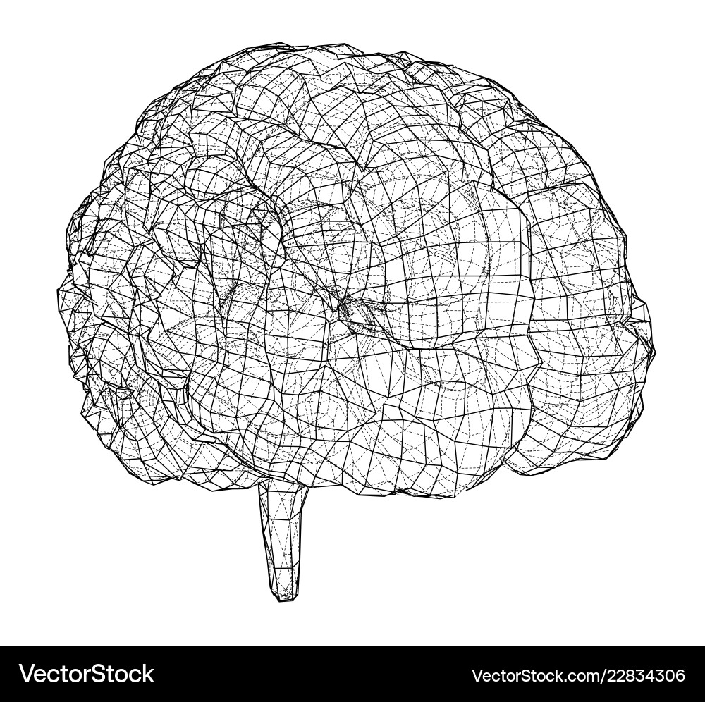 3D Wireframe Brain Rendering vector image