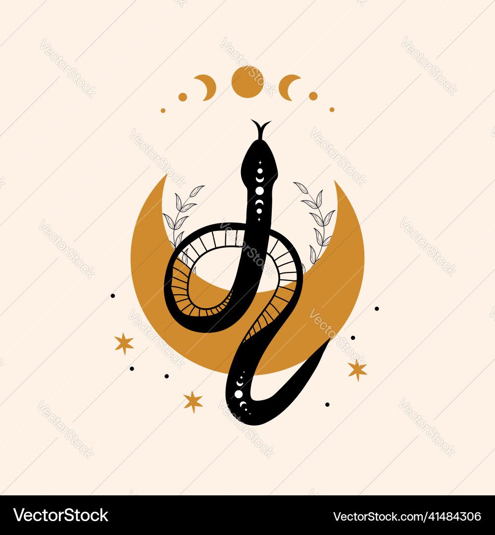 Magic snake in boho style with moon mystical Vector Image