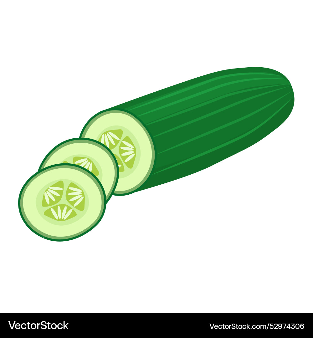 Sliced Cucumber Close-Up vector image